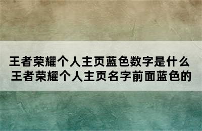 王者荣耀个人主页蓝色数字是什么 王者荣耀个人主页名字前面蓝色的